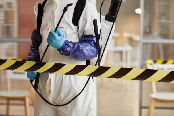 Professional Sewage Cleanup technician working in Frankfort, KY
